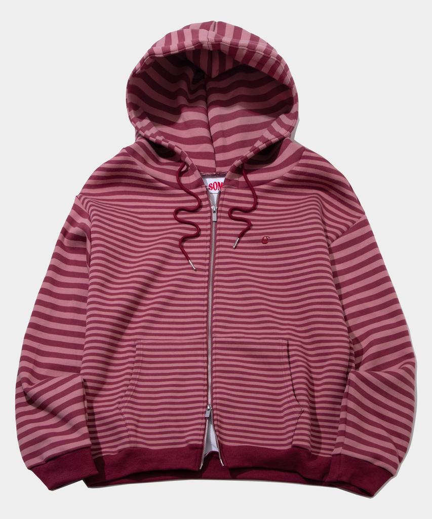 Some Place Two-Tone Stripe Embroidered Print Hooded Zip-Up Jacket _ 3 Colors