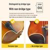 Violin Chin Rest Pad & Protector for Children and Adults - Comfortable Chin and Shoulder Support with Cloth Cover.