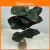 Plante Realiste Ficus Elastica Frunze Verdeață Decor Casă Nuntă Birou