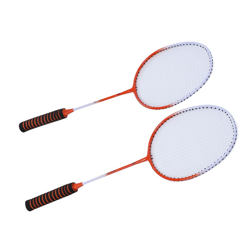 Badminton Set Professional Alloy Badminton Racket with 3 Shuttlecocks Carrying Bag for Beginner
