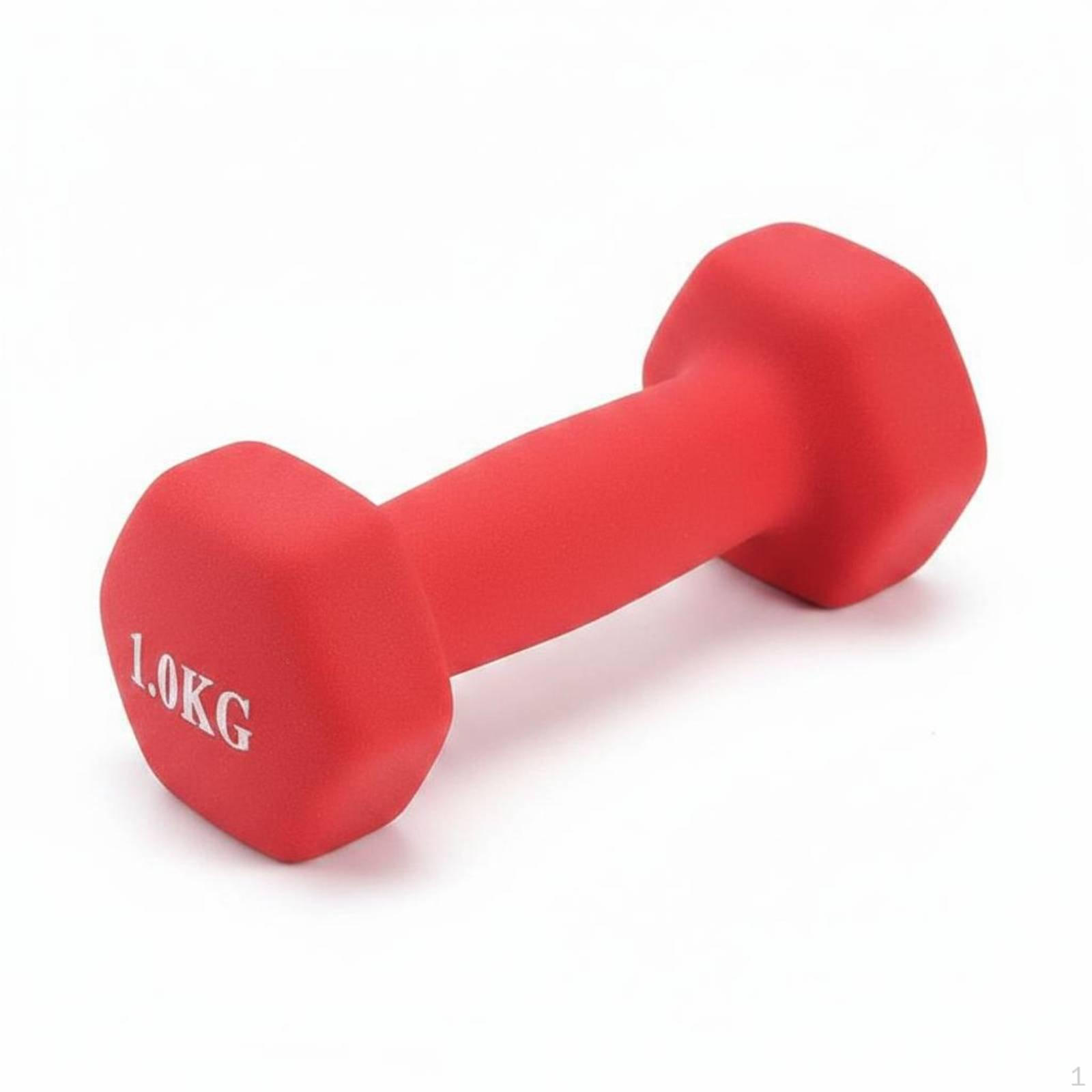 Cast Iron Dumbbell Floor Friendly Hex Hand Weight for Beginners, Women, Home Workout, Gym