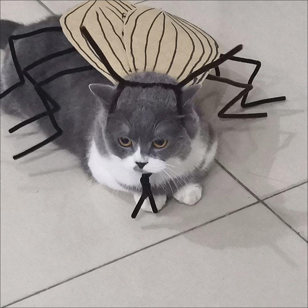 Cartoon Cat Cosplay Cockroach Costume Creative Cat Transformation Costume  Pet Supplies