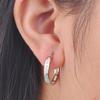 Shine hot-selling new simple earrings with diamonds, personalized temperament earrings, high-end design jewelry