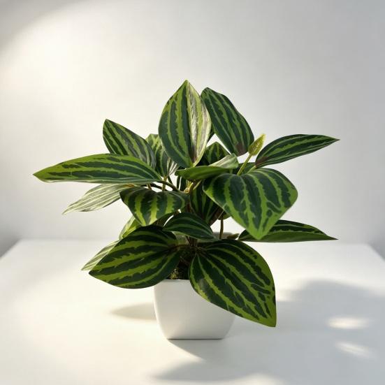 Desktop Ornament Home Decor Ring Plastic Green 1 Pc
