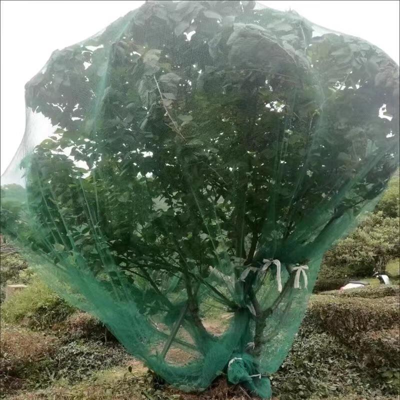 OIMG Thickened Plastic Poultry & Orchard Protection Net