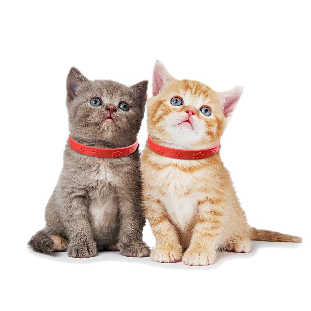 3 Pcs Red Adjustable Pet Cat Anti Flea Mite Tick Collar Cat Flea Prevention Collar Pet Supplies