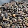 DIY Painting Pebbles Kit