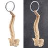 Detailed Human Spine Skeleton Keychain Anatomical Model Key Chain for Teaching and Ornamentation Doctor Accessories