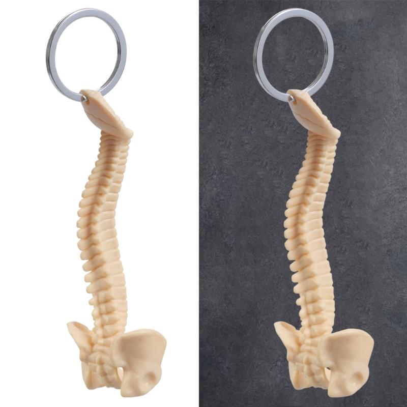 Detailed Human Spine Skeleton Keychain Anatomical Model Key Chain for Teaching and Ornamentation Doctor Accessories