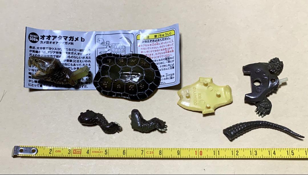 

[USED] Kaiyodo Choco Q Secret Giant Head Turtle B Figure