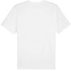 Puma Herren TeamFinal Trainings-T-Shirt