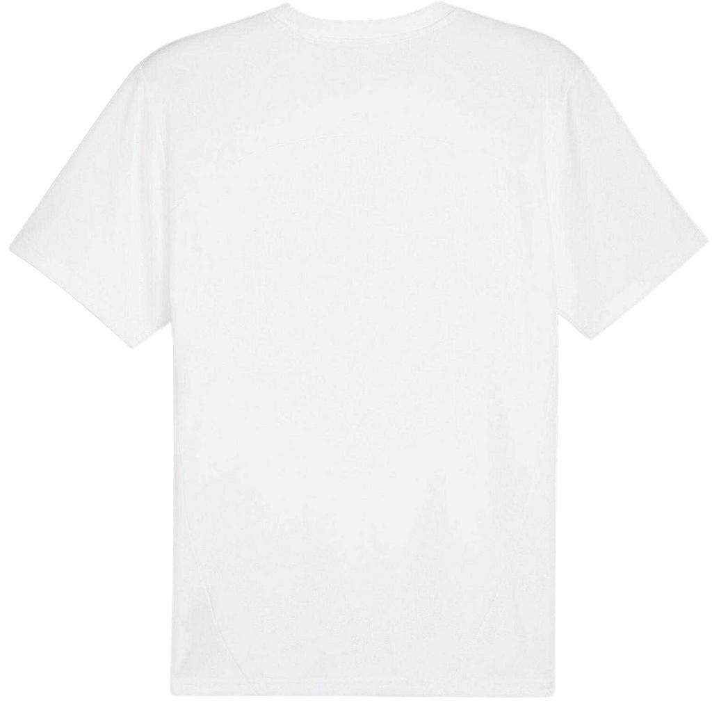 Puma Herren TeamFinal Trainings-T-Shirt