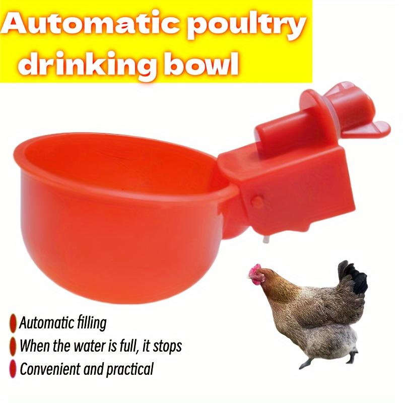 5/10cs Poultry Automatic Water Dispenser Chicken Drinking Bowl Pigeon Automatic Water Dispenser Small Chick Feeding Bowl