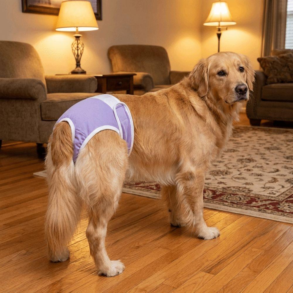 Adjustable Pet Diapers Leak-proof Dog Sanitary Panties Dog Physiological Pants  Pet Menstruation