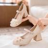 Niche comfortable versatile high heels women's spring and summer high-end light mouth thick heel Mary Jane single shoes