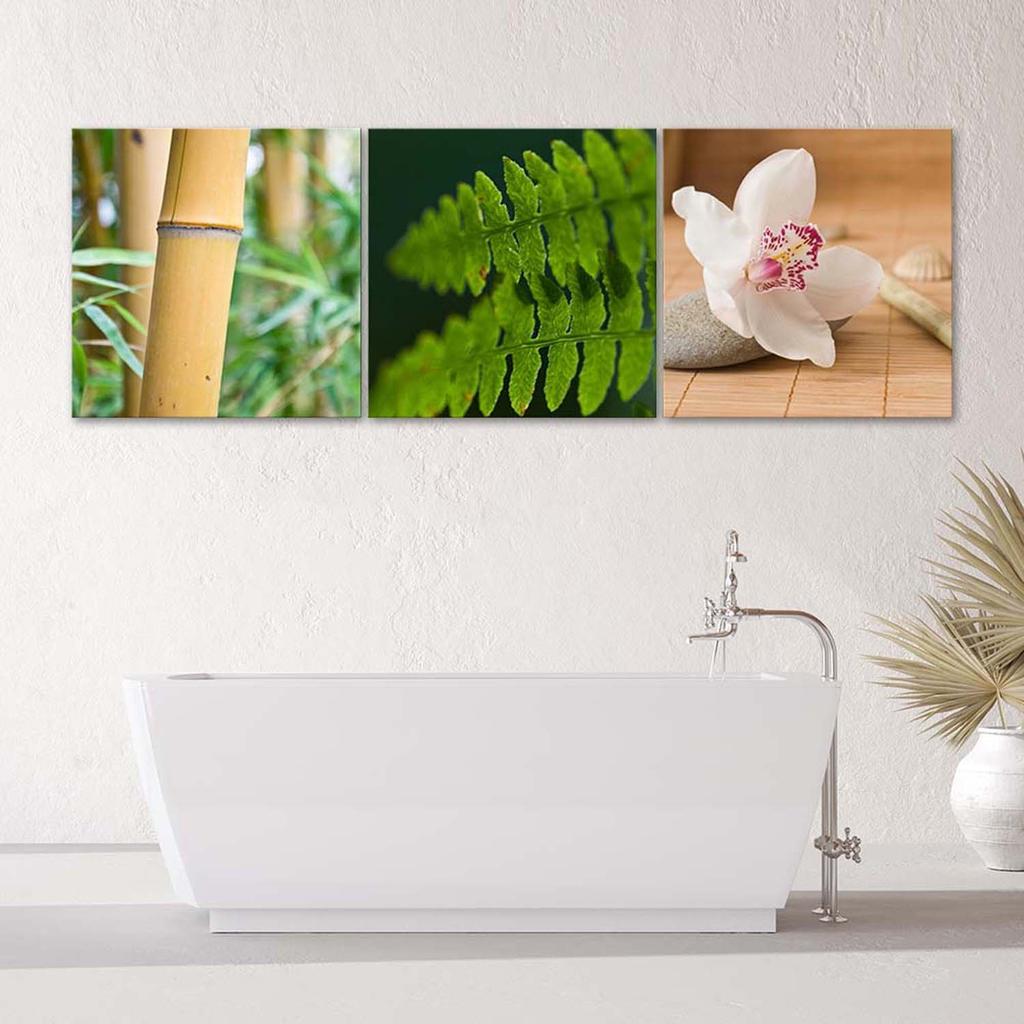 Set of Three Pictures Canvas Print Nature Plants