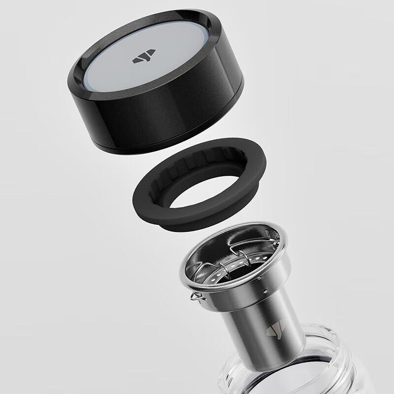 WANXIANG Double-Walled Borosilicate Glass Tea Tumbler