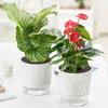 Self Watering Flower Pot Automatic Watering Flowerpot Garden Supplies Easy Monitoring Water Level Pot Lazy Hydroponics Pot