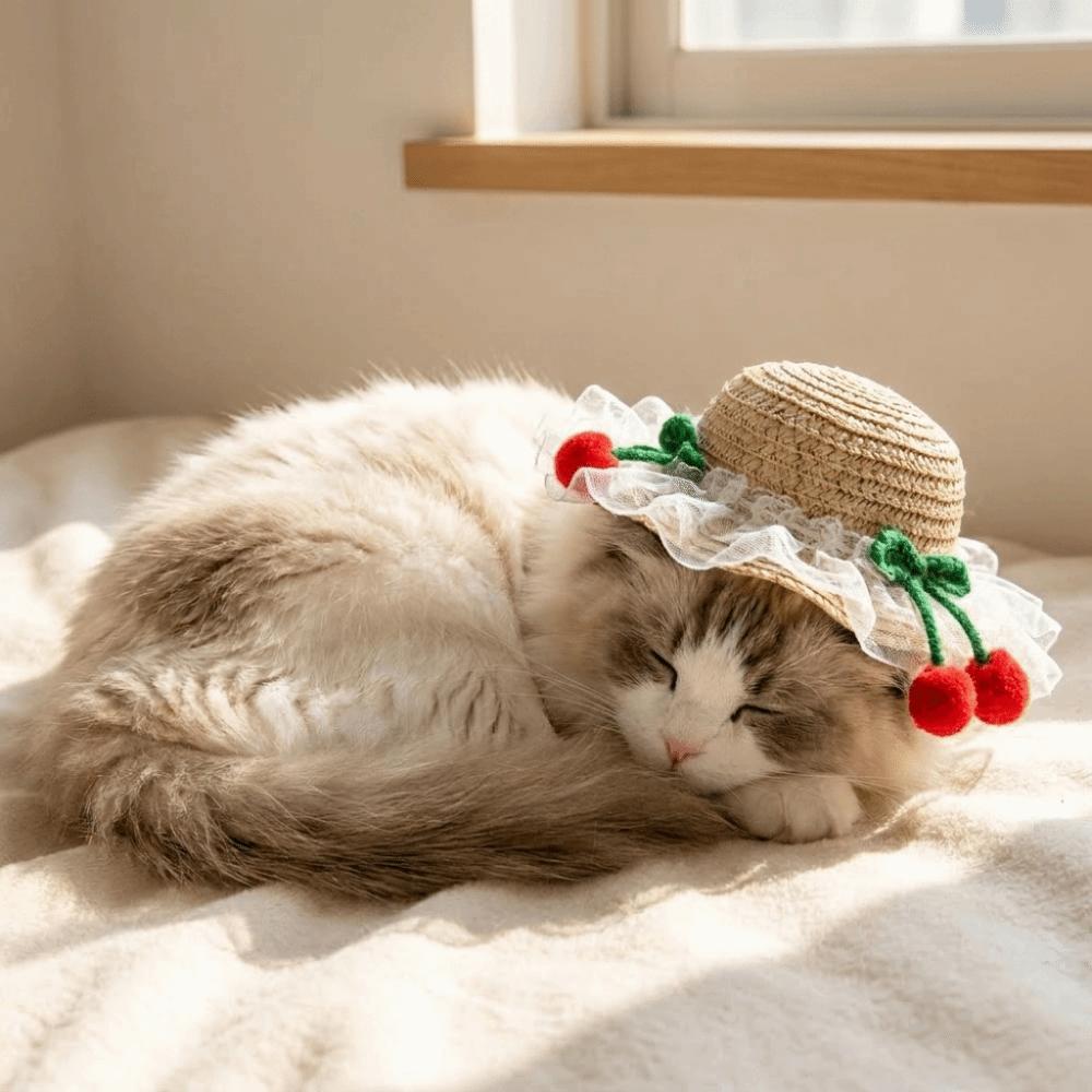 Adjustable Pet Sun Hat Lace Decor Dog Sun Protection Cap Fashion Cat Sunshade Hat Walking Hiking