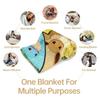 Pikachu Eevee Flannel Blanket Soft Warm Plush Throw for Sofa Bed Cover Nap Cape Camping Travel Cozy Home Decor Pokémon Fans Gift