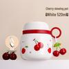 Dileber Cherry 316 Stainless Steel Insulated Food Jar