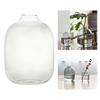 Glass Flower Vase Decorative Statue Figurine Planter Pot Flowerpot for Bookcase Office Living Room Coffee Table Entrance