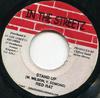 7palcová deska RED RAT / DANNY ENGLISH - Stand Up / Mi Love You NONE In The Streetz  2000 Jamajský Reggae, Ska & Dub Použitá