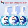Walch Foaming Hand Soap Family Combo Pack