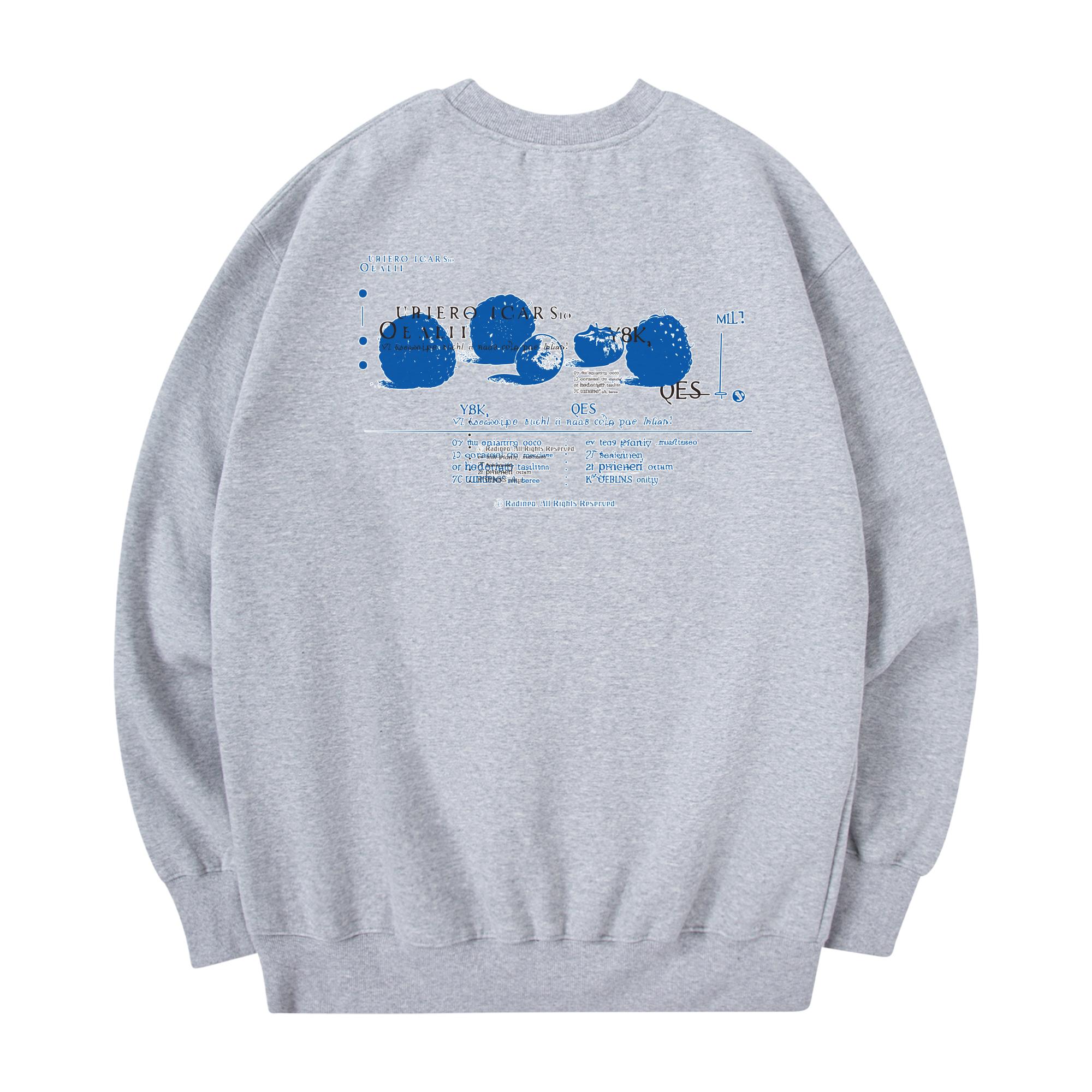 Radineo Recipe Sweatshirt Gray Gray (Gray)/M