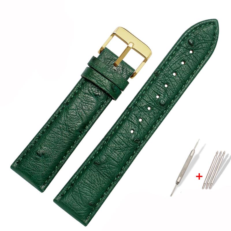 Genuine Watchband Ostrich Leather Strap Fit Seiko Omega Citizen Universal Bracelet 18mm 20mm 21mm 22mm Watch Band Brown Green