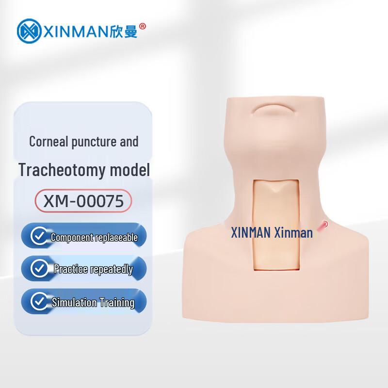 XINMAN Advanced Cricothyroidotomy and Tracheotomy Training Model