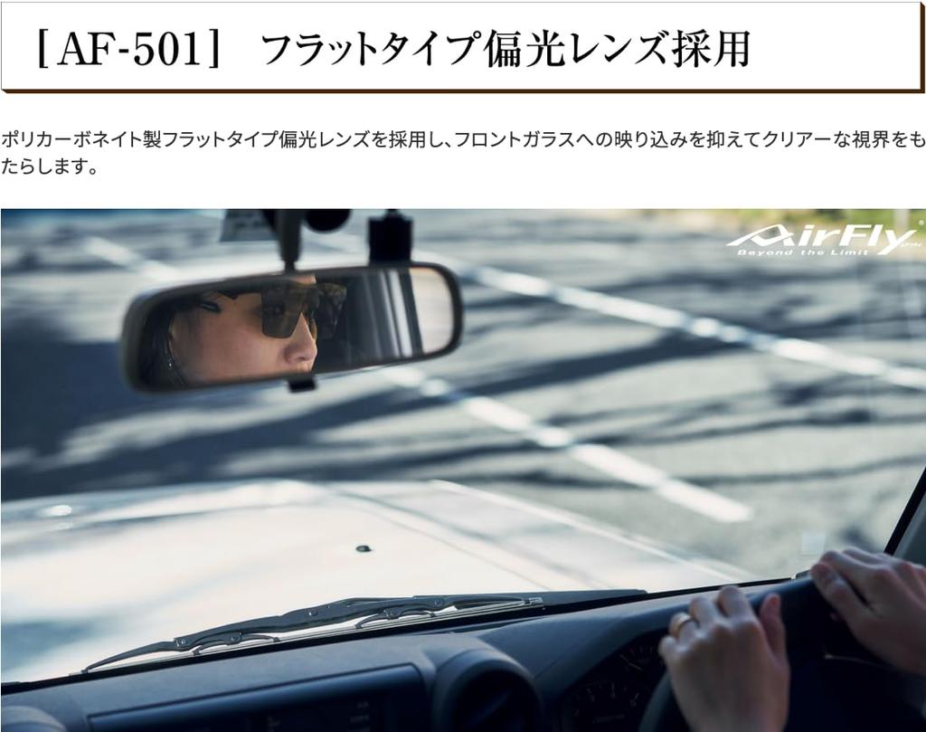 [AirFly] AF-501 C-1 [Black Matt/Gray Lens]