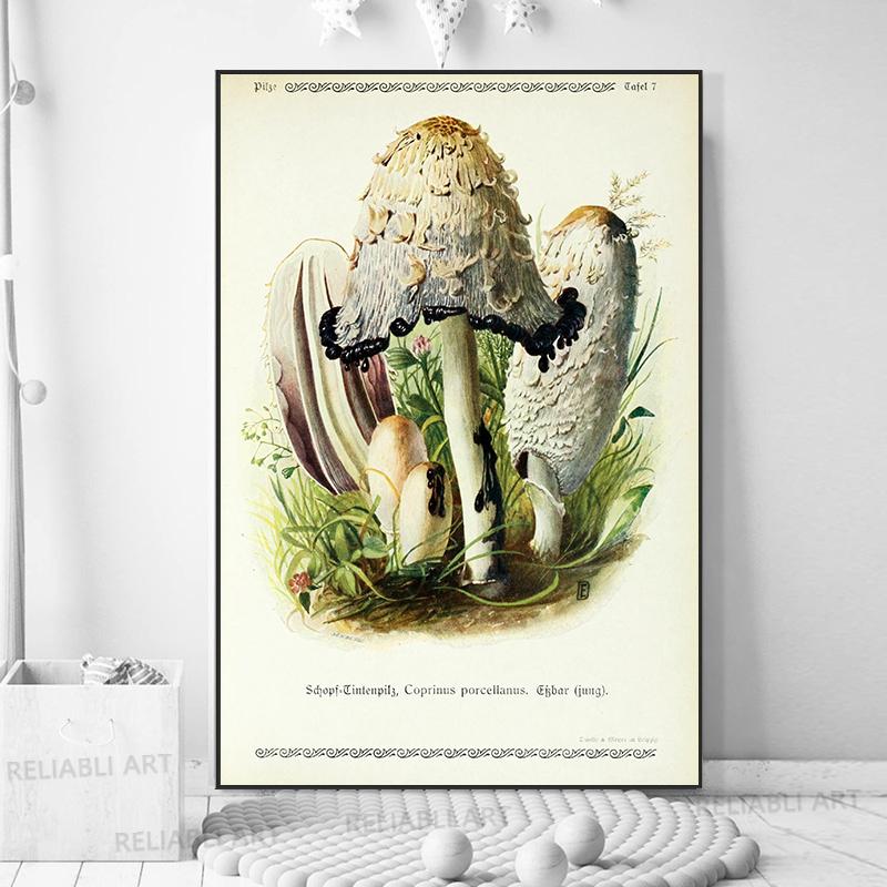 Vintage Mushroom Exemen Malba na plátně Starožitné umění na zeď Bylinné obrazy Vědecké plakáty a grafiky Dekor domácí kanceláře Cuadros