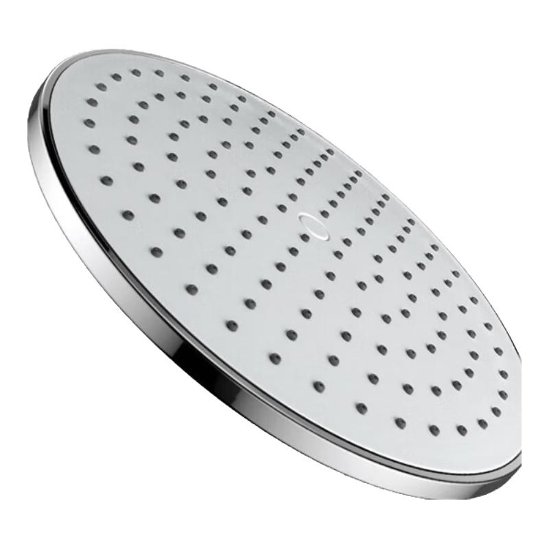 ABS Plastic Shower Head