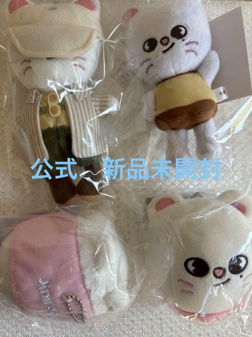 

[ИСПОЛЬЗОВАННЫЙ] Хёнджин бэк чарм 4 skiz stray kids skzoo