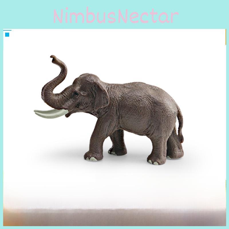 Animal Wildlife Model Toy For Kids Educational Decor And Collectors