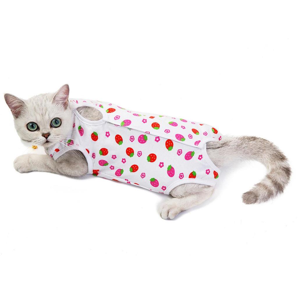 Cat Postpartum & Surgery Suit: Anti-Lick, Four-Legged Weaning Clothes for Spring/Summer