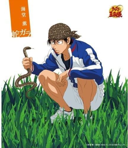 

CD KAORU KAIDO - Hebi Gala NECA30202PROMO Japan ObiJapanese Others Used