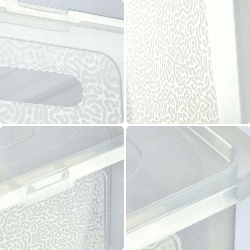 KADAX Plastic Container with Lid Transparent Lockable Box Organizer