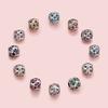 December Birthstone Beaded Accessories S925 Silver Constellation Transfer Bead Jewelry Bsc508