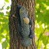 Cute Black Bear Cub Garden Statue, Tree Branch Decor with Honeycomb & Bee Accents for Outdoor Yard, Fence or Indoor Wall Decoration