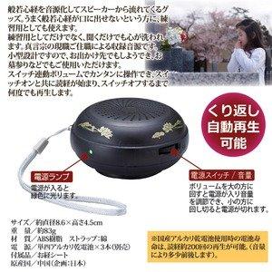 Anywhere Sutra Speaker with Automatic Repeat Playback, Battery Operated, Switch-Linked Volume, and Strap Included [Ships in Mail Order Packaging]