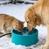 Pet Heated Water Bowl with Thermostat for Cats & Dogs - Winter Smart Insulated Plate