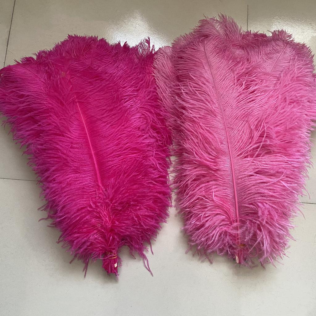10 szt. Naturalne pióra strusie 15-55 cm do rękodzieła, na wesele, imprezę, dekorację domu, strusie pióra, dekoracja stołu, pióro