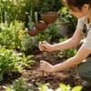 Iron Bird Feeder with Three Bowls Decorative for Lawns