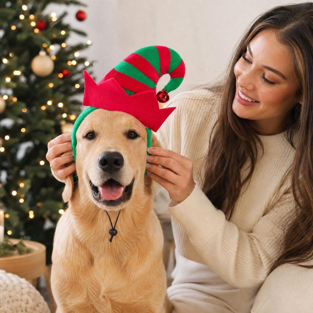 Christmas Dog Hat for Small and Medium Dogs with Cute Holiday Design