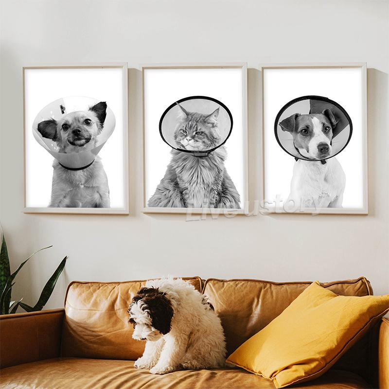 Pet Care Art Prints Black White Photography Posters Cat Dog Canvas Painting Animal Clinic Wall Pictures Veterinary Office Decor