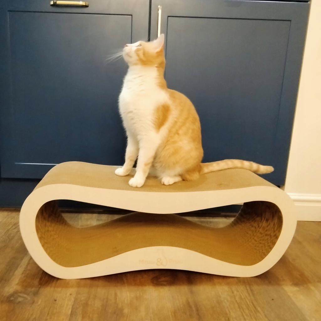 Leon cat scratching post | white | 78x28x24 cm | MruuPruu
