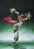 TAMASHII NATIONS Jiraiya D-Arts