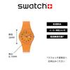 Watch TRENDY LINES IN SIENNA SO28O703 Orange [Swatch]